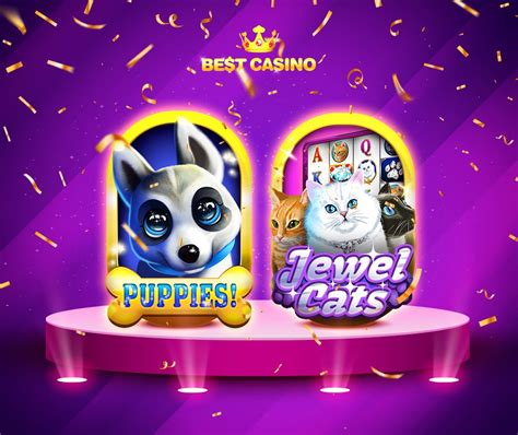 9y15 casino|9y15 Com Casino – Pawsafe.